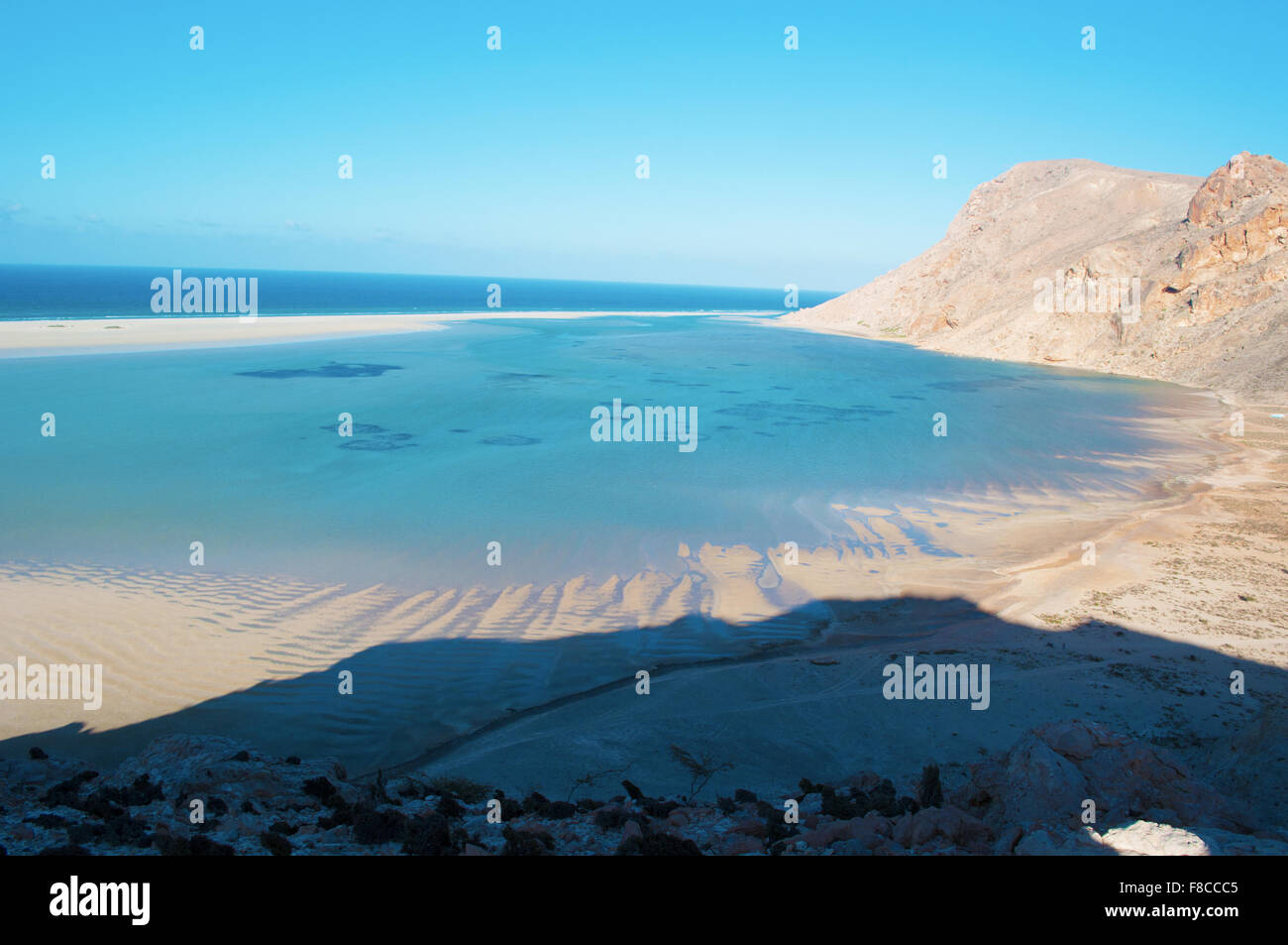 Das Naturschutzgebiet von Qalansia Strand, Golf von Aden, Arabisches Meer, Insel Sokotra, Jemen, Nahost, einzigartige Artenvielfalt Stockfoto