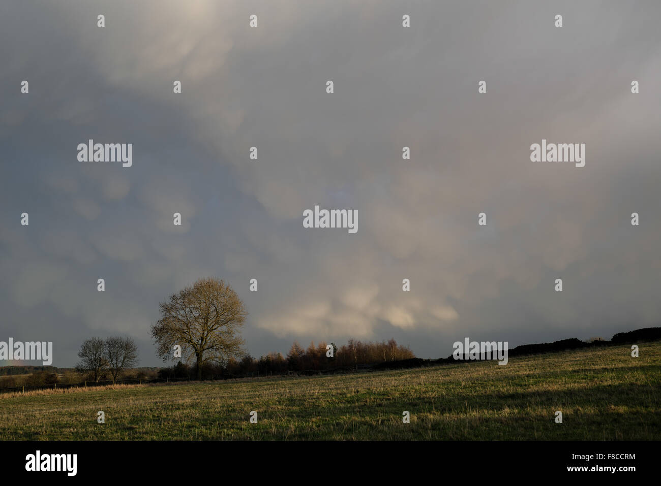 Starkholmes, Derbyshire, UK:08th Dezember 2015.After einen schönen Tag von Sonne und Wolken mit einer milden Temperatur Gewitterwolken über Teile des Peak District Rollen. Bildnachweis: Ian Francis/Alamy Live-Nachrichten Stockfoto