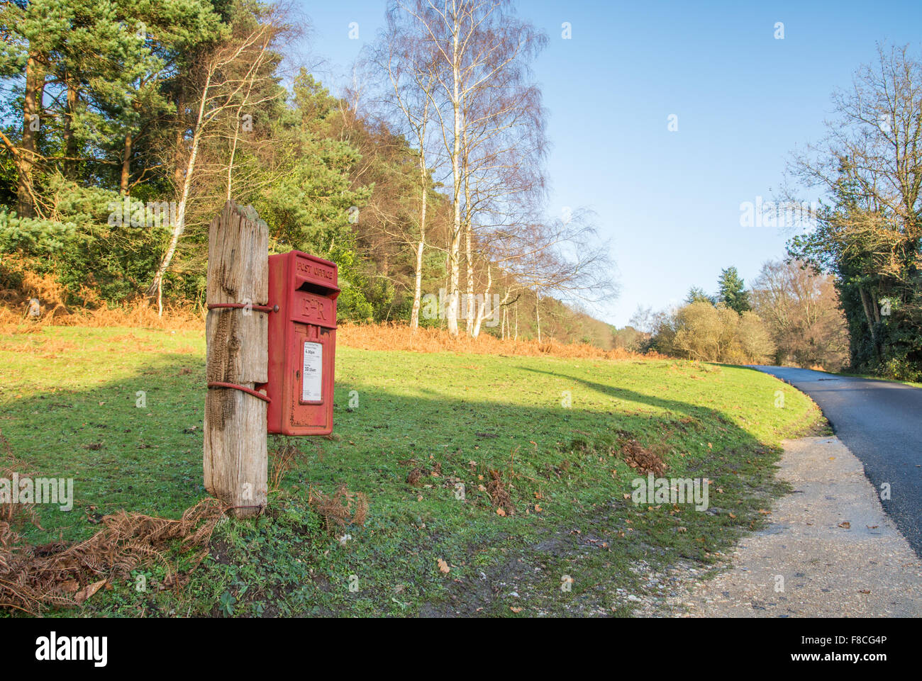 Royal Mail post Sammelkiste in ländlicher Umgebung, New Forest, Hampshire. Stockfoto