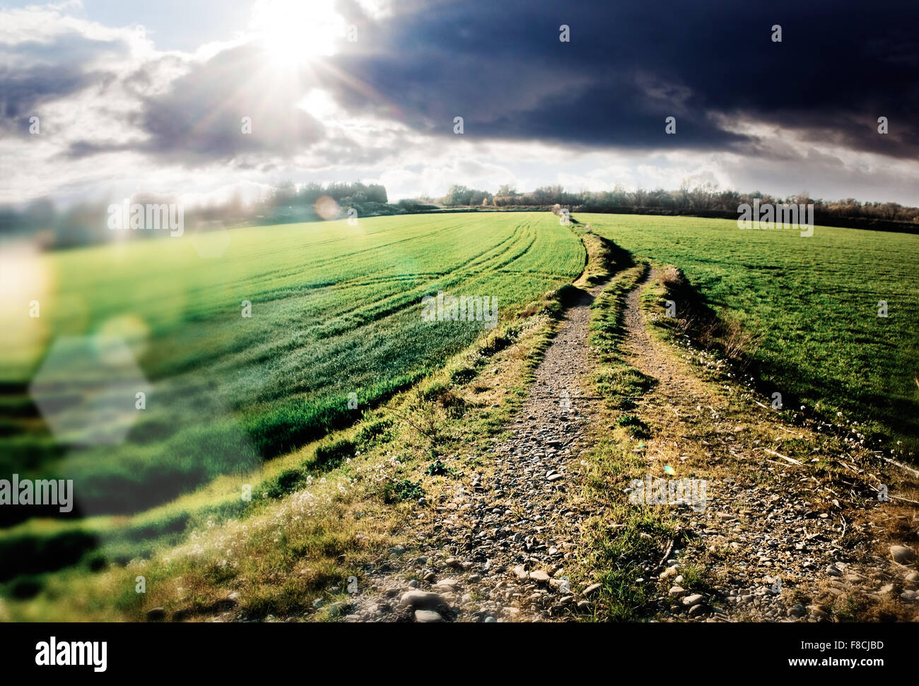 Idyllischer Sonnenuntergang Landschaft und Straße Stockfoto