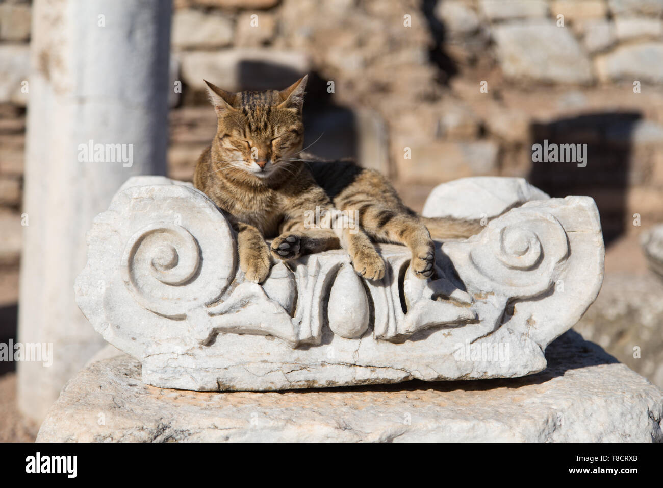Architektonische Ordnung in Ephesus antike Stadt, Izmir, Türkei Stockfoto