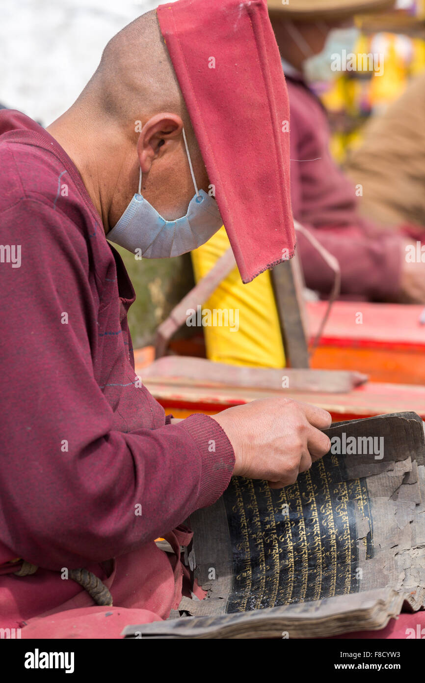 Tibetischer Mönch Studium der alten Handschriften Stockfoto