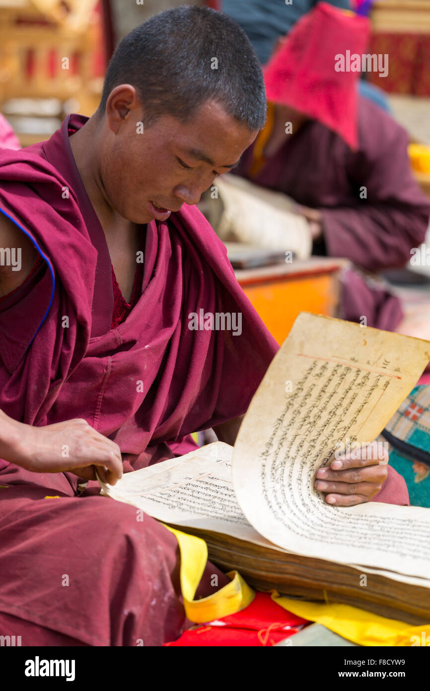 Tibetischer Mönch Studium der alten Handschriften Stockfoto