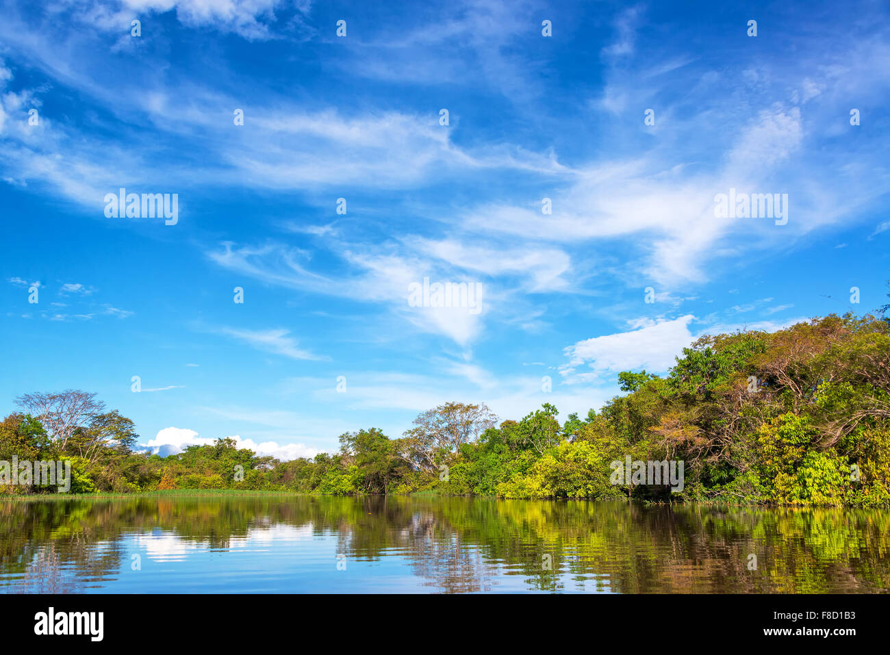 Reflexion des Flusses Javari in den Amazonas-Regenwald in Brasilien Stockfoto
