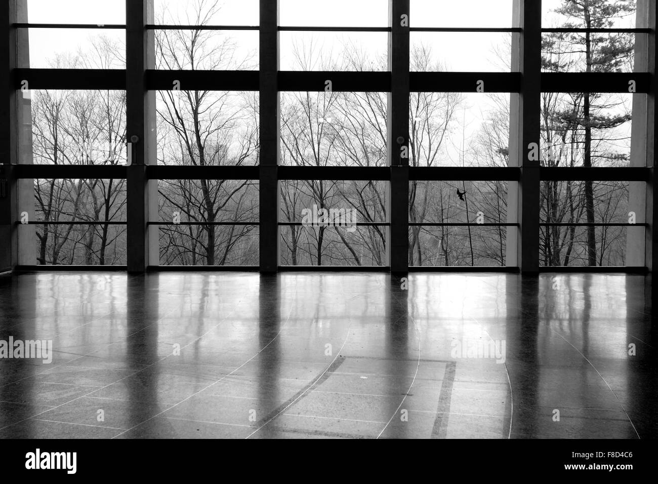 Große Fenster mit Blick auf Holz Stockfoto