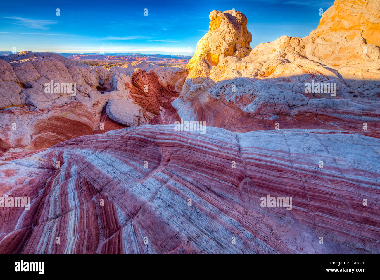 Formen der Erosion bei White Pocket, Coyote Buittes, Vermillion Cliffs National Monument, Arizona Stockfoto