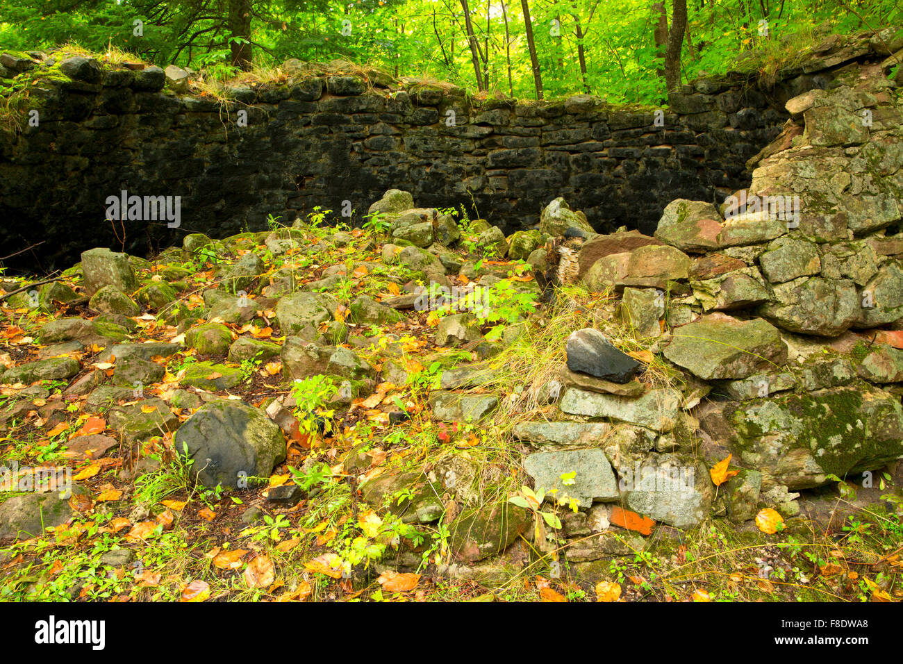 Rock River-Öfen, Hiawatha National Forest, Michigan Stockfoto