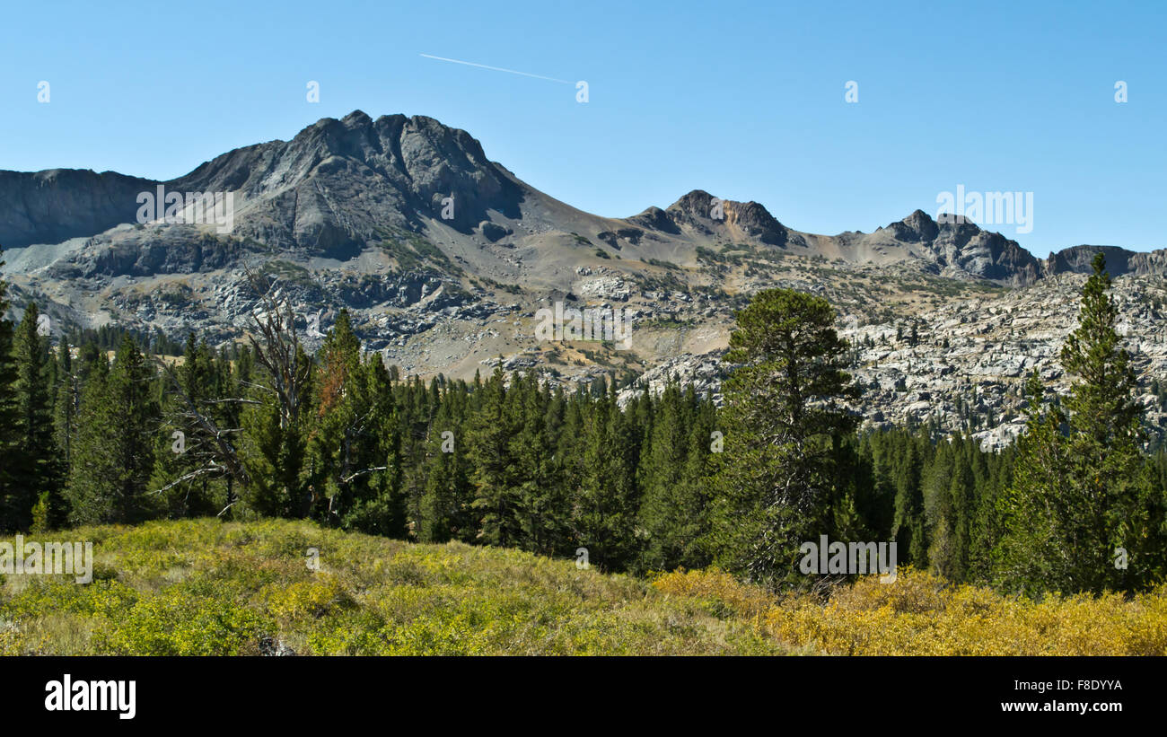 Blick auf die Sierra Nevada Peak bei Carson Pass Stockfoto