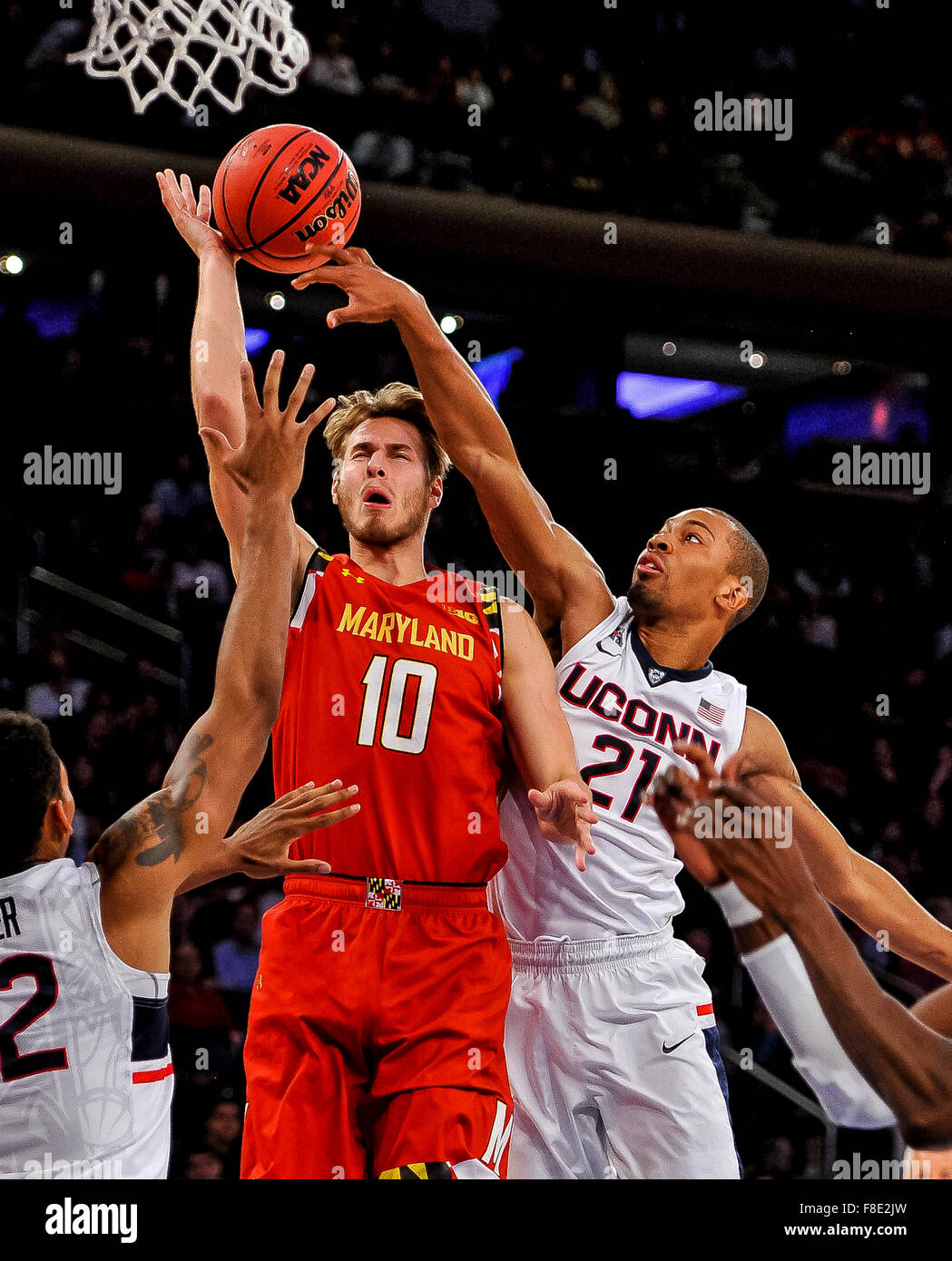 New York, USA. 8. Dezember 2015. Marylands Jake Layman ist von Connecticuts Omar Calhoun verschmutzt, wie er für einen Schuss während der NCAA Basketball Matchup zwischen Maryland Terrapins und die Connecticut Huskies im Madison Square Garden in New York am 8. Dezember 2015 fährt. Maryland gewann 76-66. Scott Serio/ESW/CSM/Alamy Live-Nachrichten Stockfoto