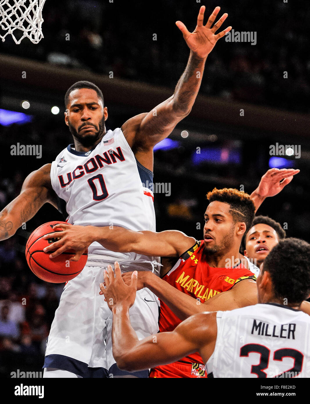 New York, USA. 8. Dezember 2015. Marylands Melo Trimble durchläuft um Connecticuts Phillip Nolan während der NCAA Basketball Matchup zwischen Maryland Terrapins und die Connecticut Huskies im Madison Square Garden in New York am 8. Dezember 2015. Maryland gewann 76-66. Scott Serio/ESW/CSM/Alamy Live-Nachrichten Stockfoto