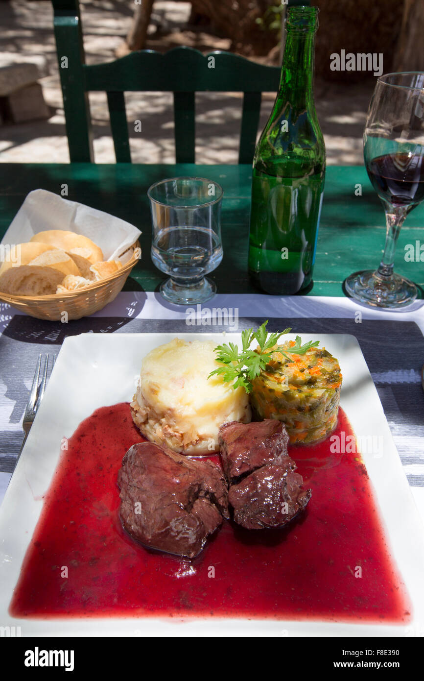 Perfektes Argentinisches Fleisch essen mit Wein aus Salta, Molinos Stockfoto