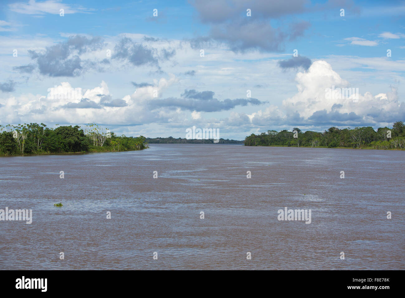 Panorama des Amazonas und den Regenwald mit einem bewölkten blauen Himmel. Amazonas-Staaten, Brasilien Stockfoto