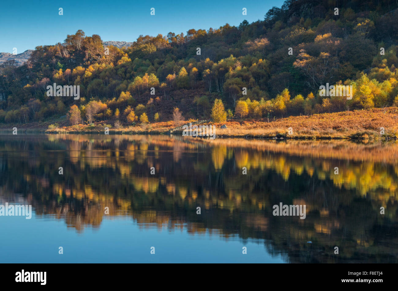 Llyn Dinas, Snowdonia, Wales Stockfoto