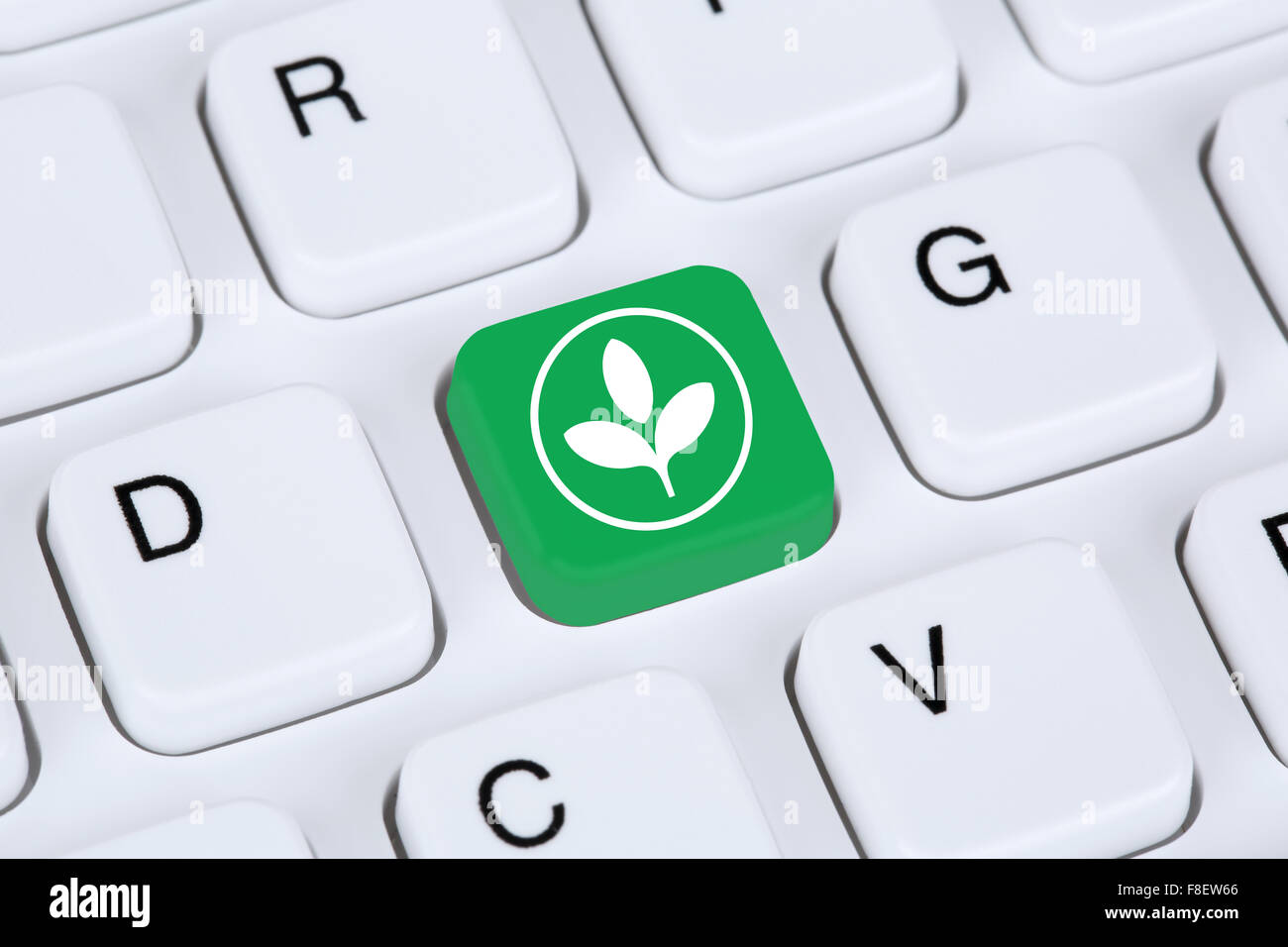 Grüne Technologie Tech umweltfreundliche Natur Umweltschutz auf Computer mit Internetzugang Stockfoto