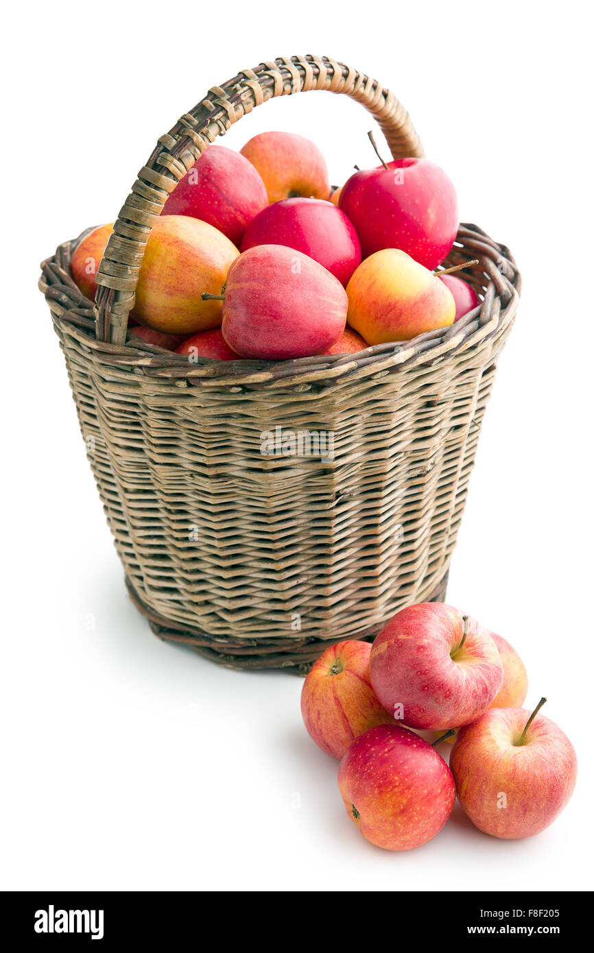 im Herbst Äpfel im Korb auf weißem Hintergrund Stockfoto