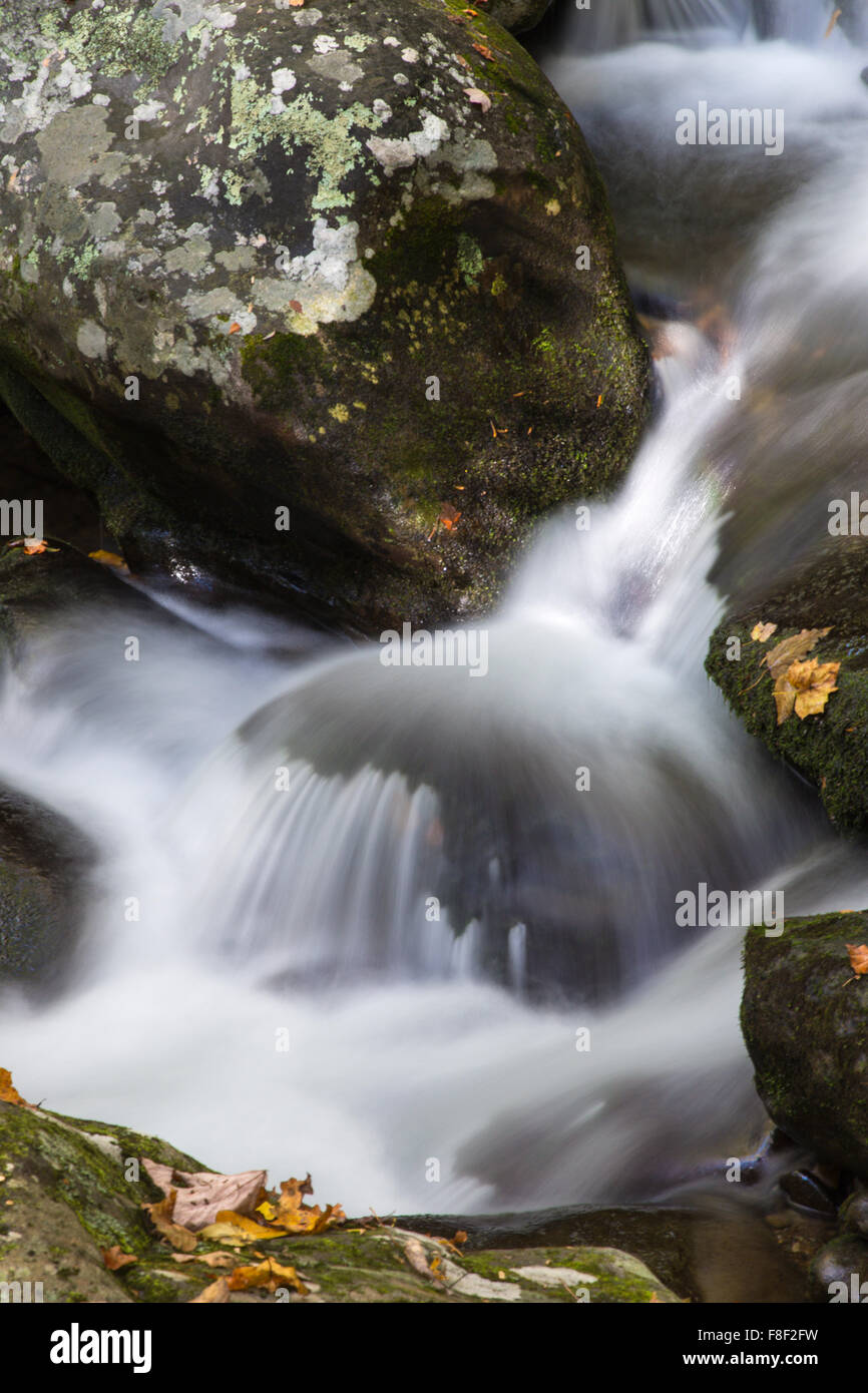 Kleiner Wasserfall am Roaring Fork Bergbach auf der Roaring Fork Motor Nature Trail in Great Smoky Mountains Nationalpark TN Stockfoto