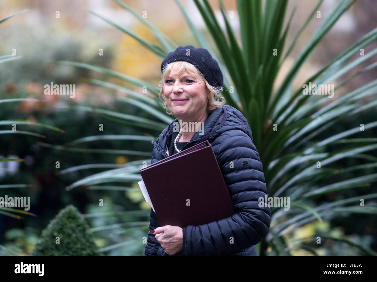 Anna Soubry MP, Minister für Kleinunternehmen kommt in 10 Downing Street, der wöchentlichen Kabinettssitzung zu besuchen Stockfoto