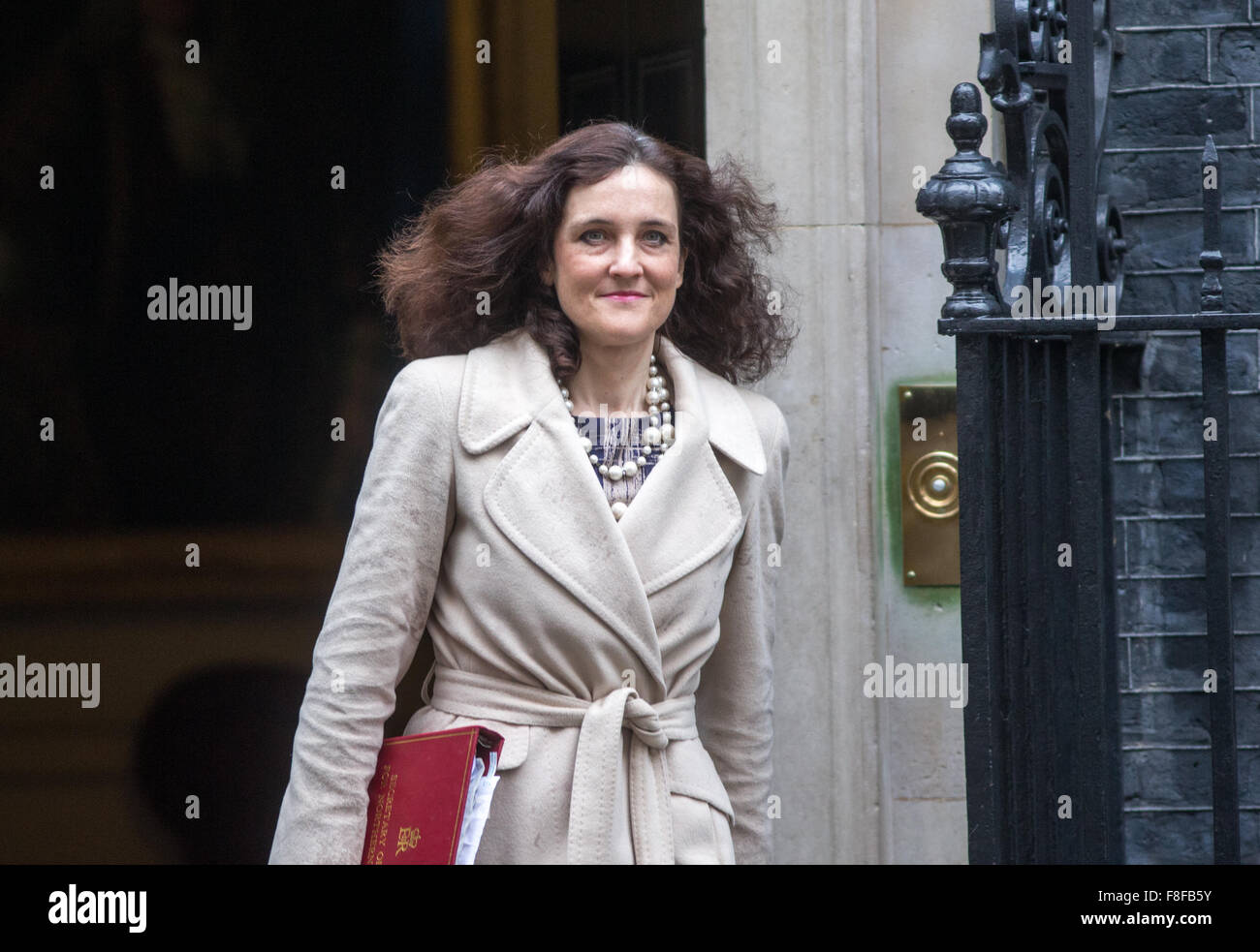 Theresa Villiers, Staatssekretär für Nordirland, lässt Nummer 10 Downing Street nach einer Kabinettssitzung Stockfoto