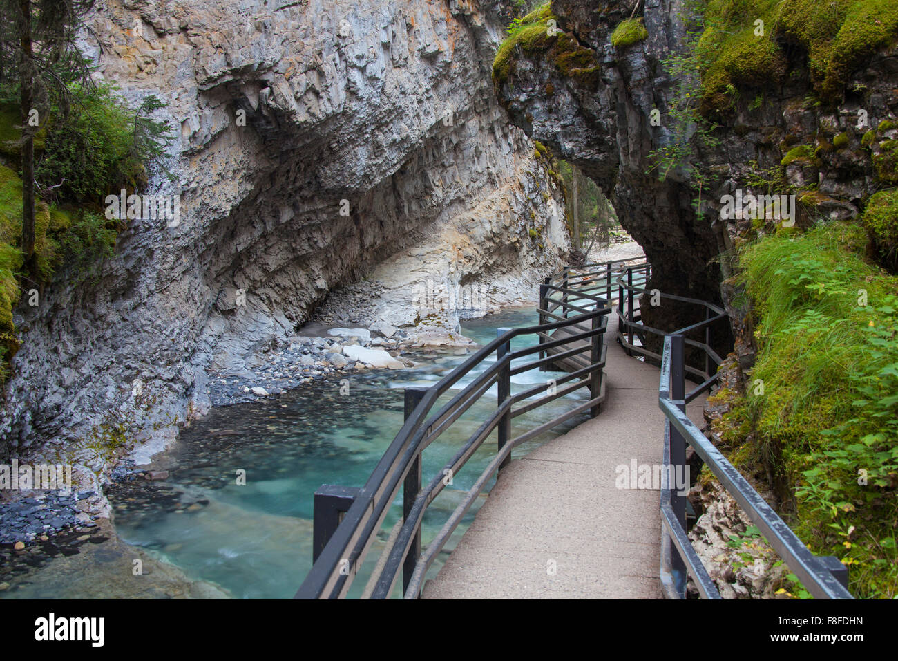 Gehweg nach Bow River in den Johnston Canyon, Banff Nationalpark, Alberta, Rocky Mountains, Kanada Stockfoto