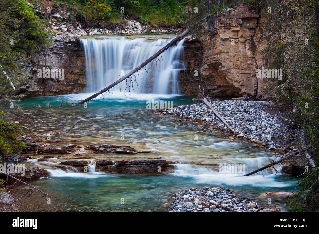 Wasserfall in der Johnston Canyon, Banff Nationalpark, Alberta, Rocky Mountains, Kanada Stockfoto