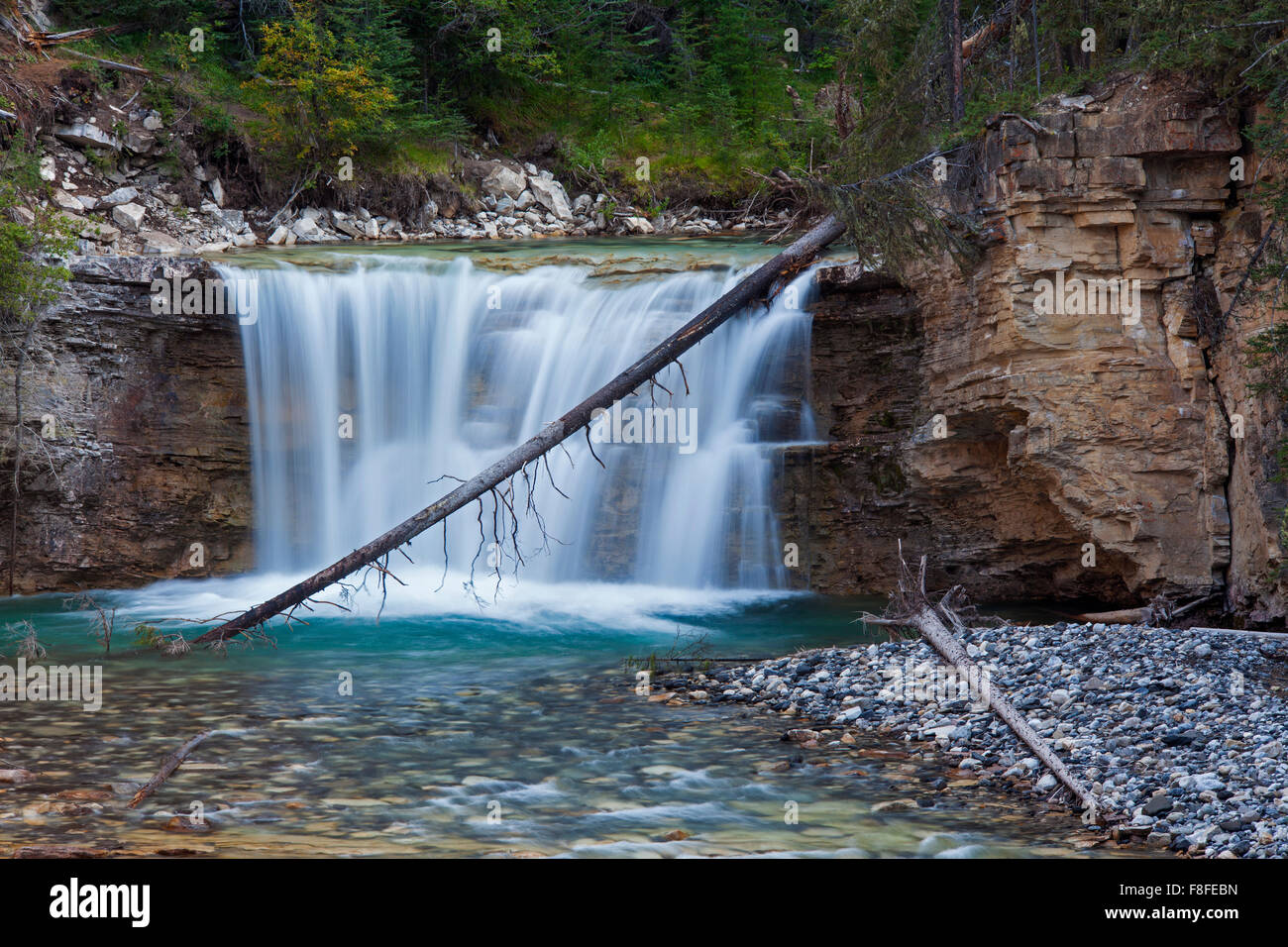 Wasserfall in der Johnston Canyon, Banff Nationalpark, Alberta, Rocky Mountains, Kanada Stockfoto