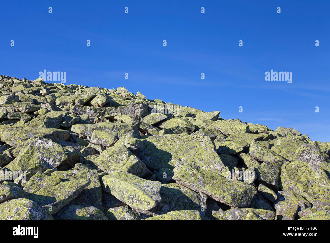 Stein, ausgeführt mit riesigen Felsbrocken bedeckt in Flechten am Berg Lusen, Nationalpark Bayerischer Wald, Bayern, Deutschland Stockfoto