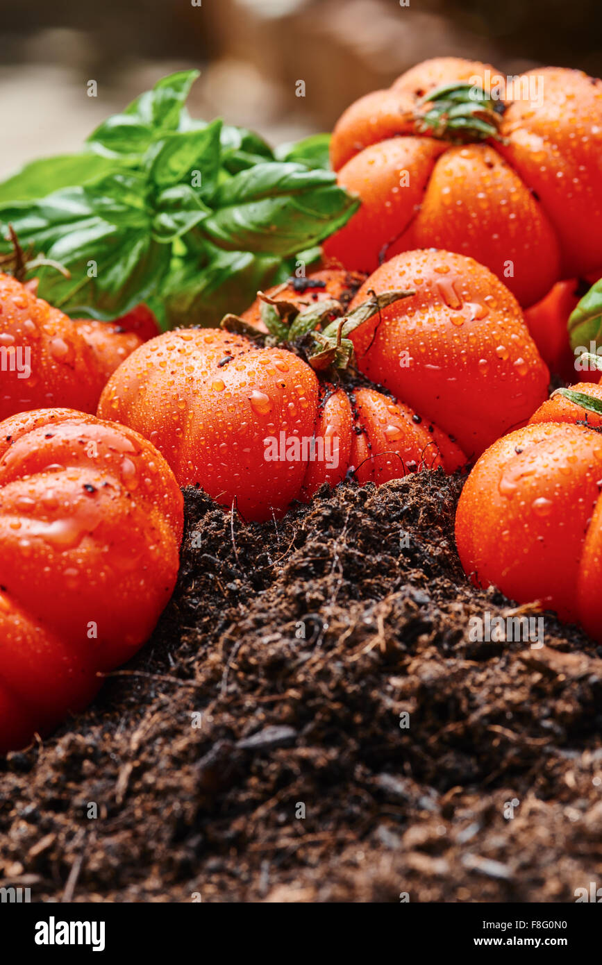 Corleone Fotos und Bildmaterial in hoher Auflösung Alamy