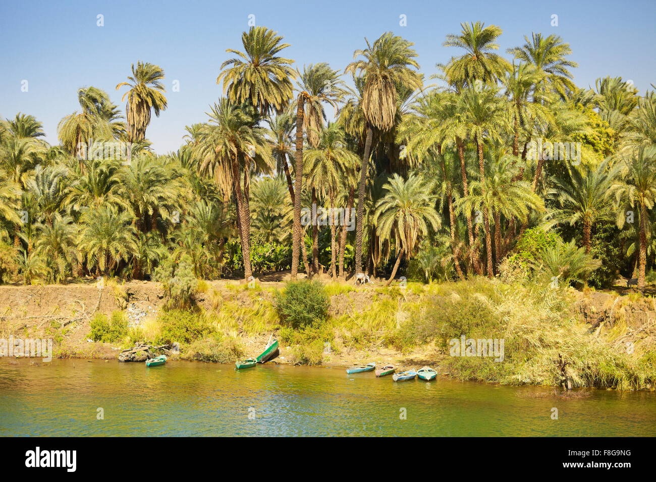 Ägypten - Ufer des Nils, am Fluss Landschaft des Tal des Nils, Straße in die Stadt Assuan, Ägypten Stockfoto