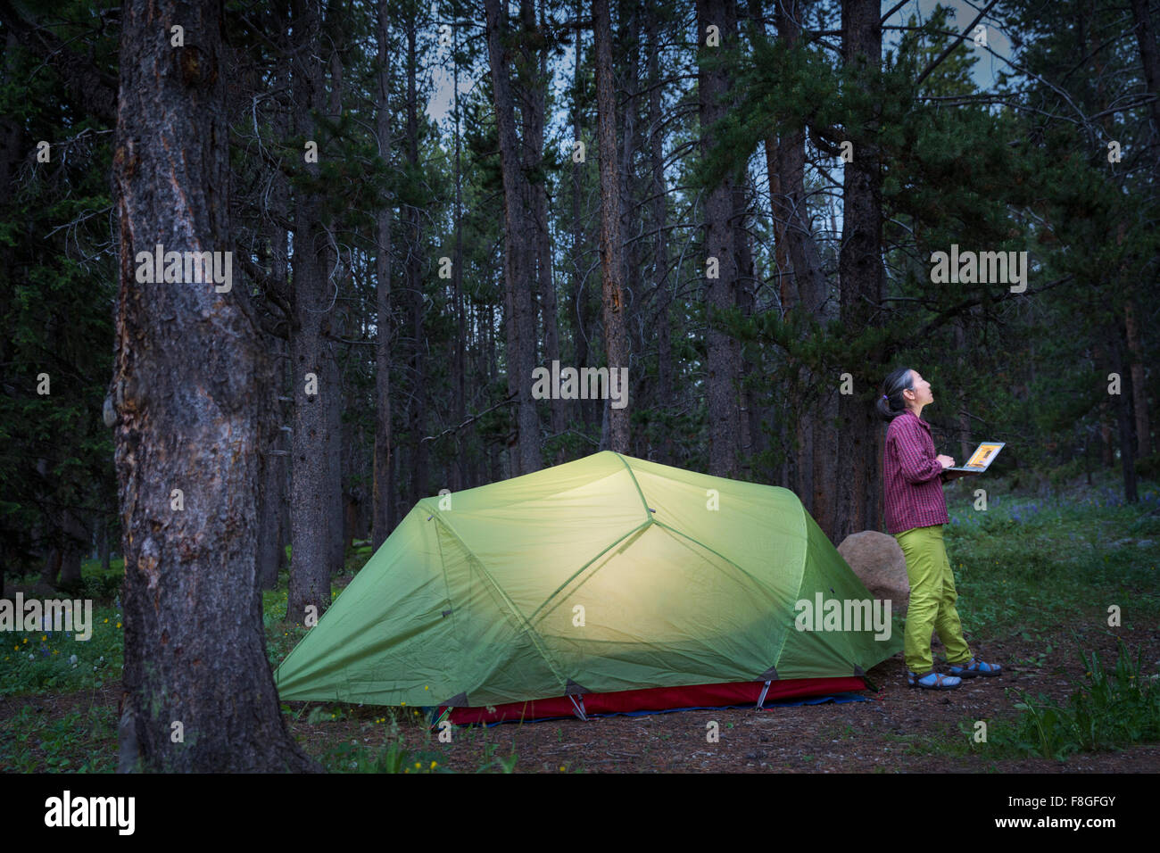 Japanische Frau mit Laptop am Campingplatz Stockfoto