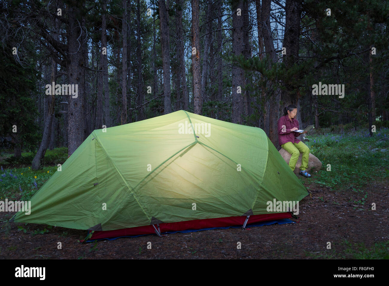 Japanische Frau mit Laptop am Campingplatz Stockfoto