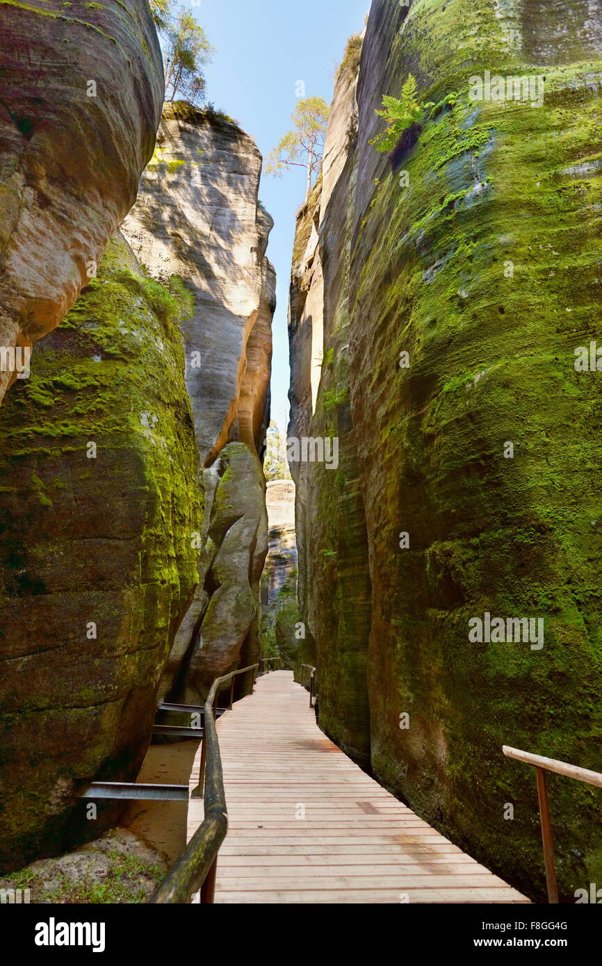 Wanderweg, Adersbach, Teplicke Felsen, Tschechische Republik Stockfoto