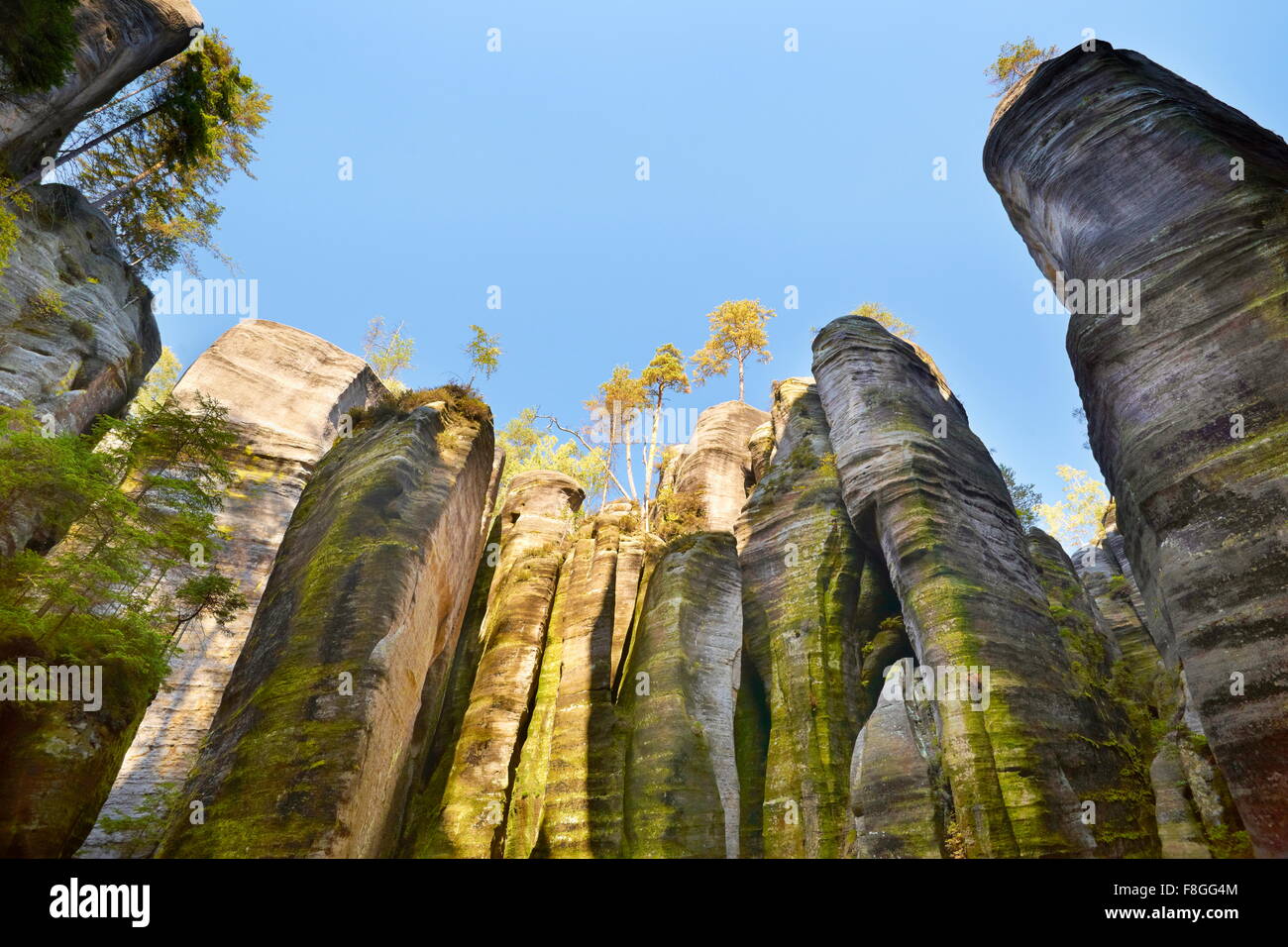 Adersbacher Felsenstadt, Teplicke Felsen, Tschechische Republik Stockfoto