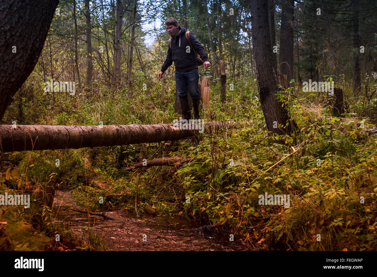 Kaukasischen Mann balancieren auf umgestürzten Baum Stockfoto