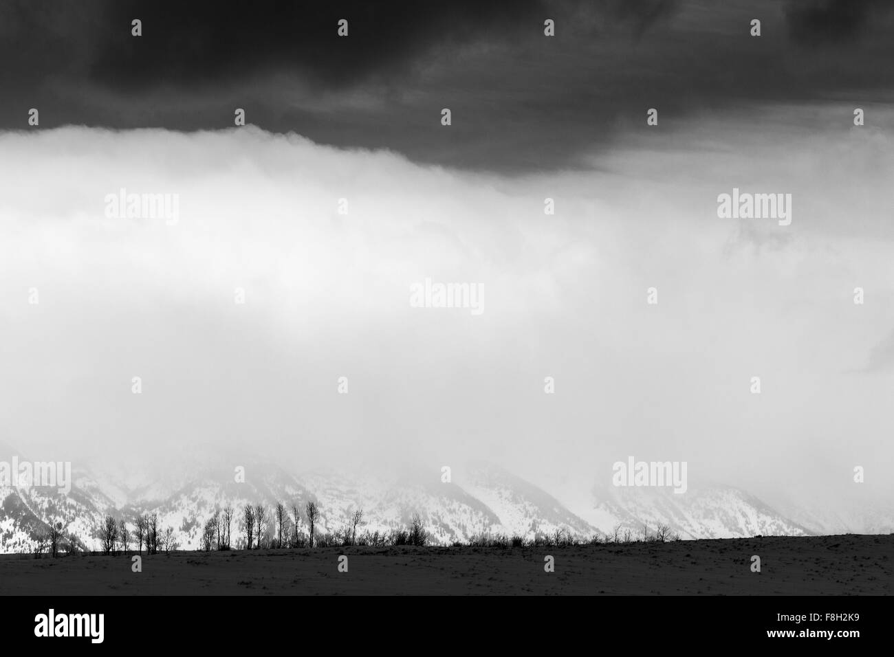 Ein Wintersturm klammert sich an die Teton Mountains im Grand-Teton-Nationalpark, Wyoming. Stockfoto
