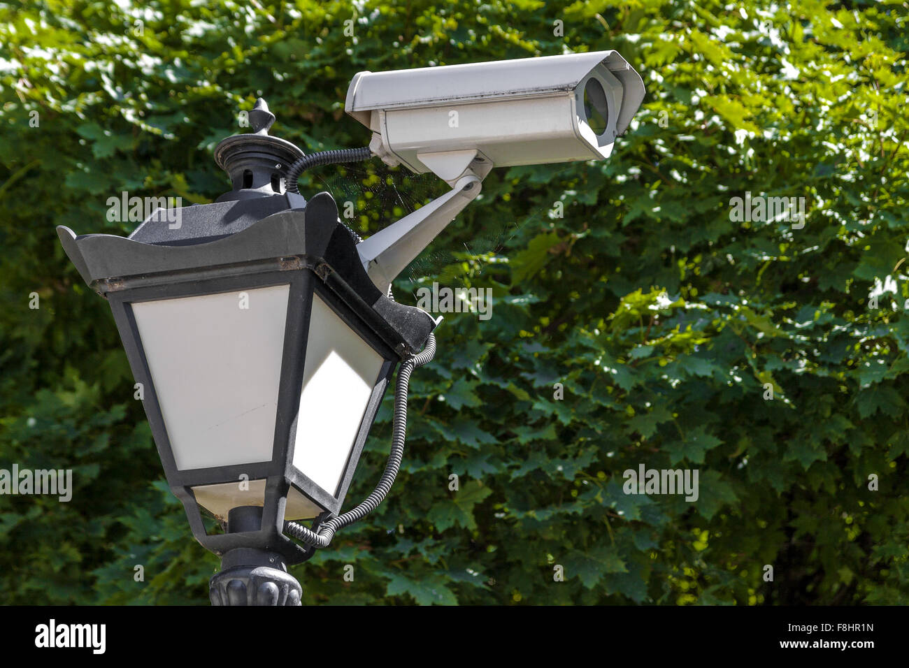 Cctv Kamera fest an der Spitze der Straße Laterne Hintergrund von grünen Bäumen im Sommer Stockfoto