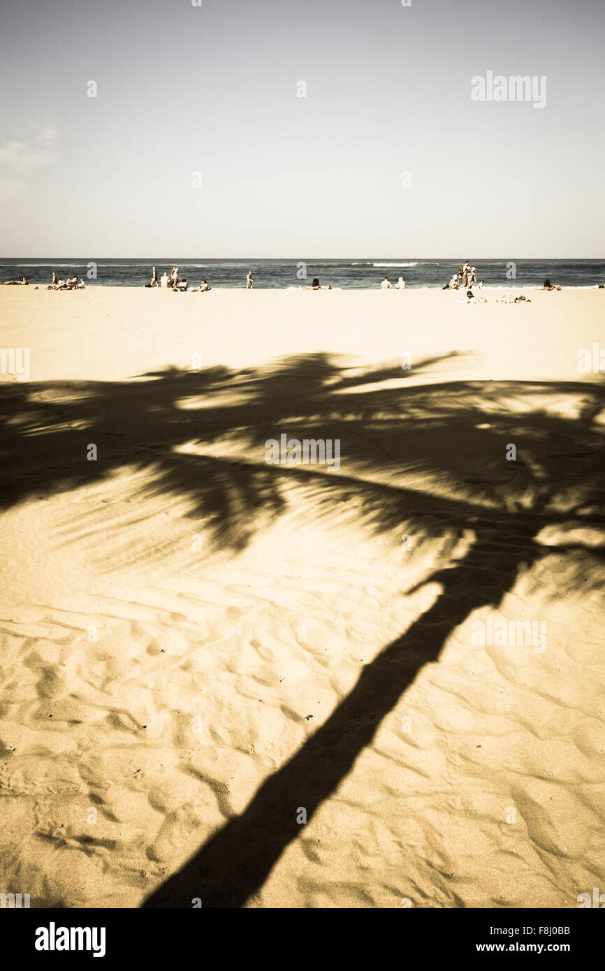 Palm-Baum Schatten am Strand von Las Canteras in Las Palmas, Gran Canaria, Kanarische Inseln, Spanien Stockfoto