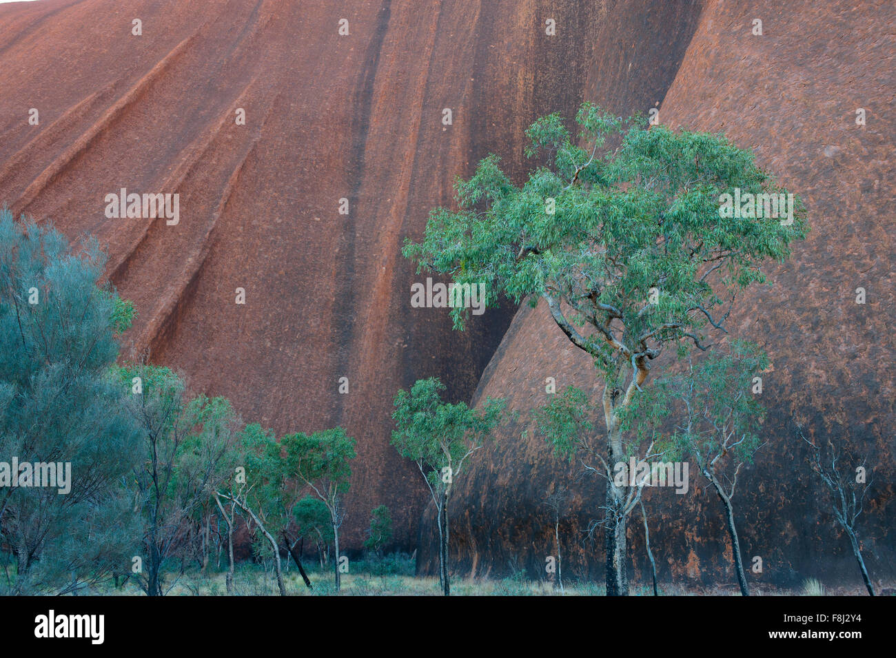 Uluru (Ayers Rock), Northern Territory, Australien. Stockfoto