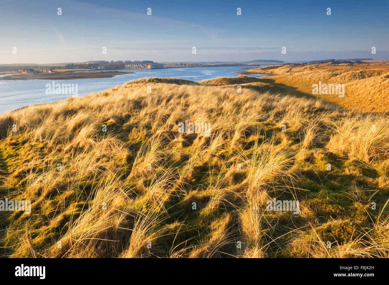 Ythan Mündung von Forvie National Nature Reserve im Abendlicht - in der Nähe von Newburgh, Aberdeenshire, Schottland. Stockfoto