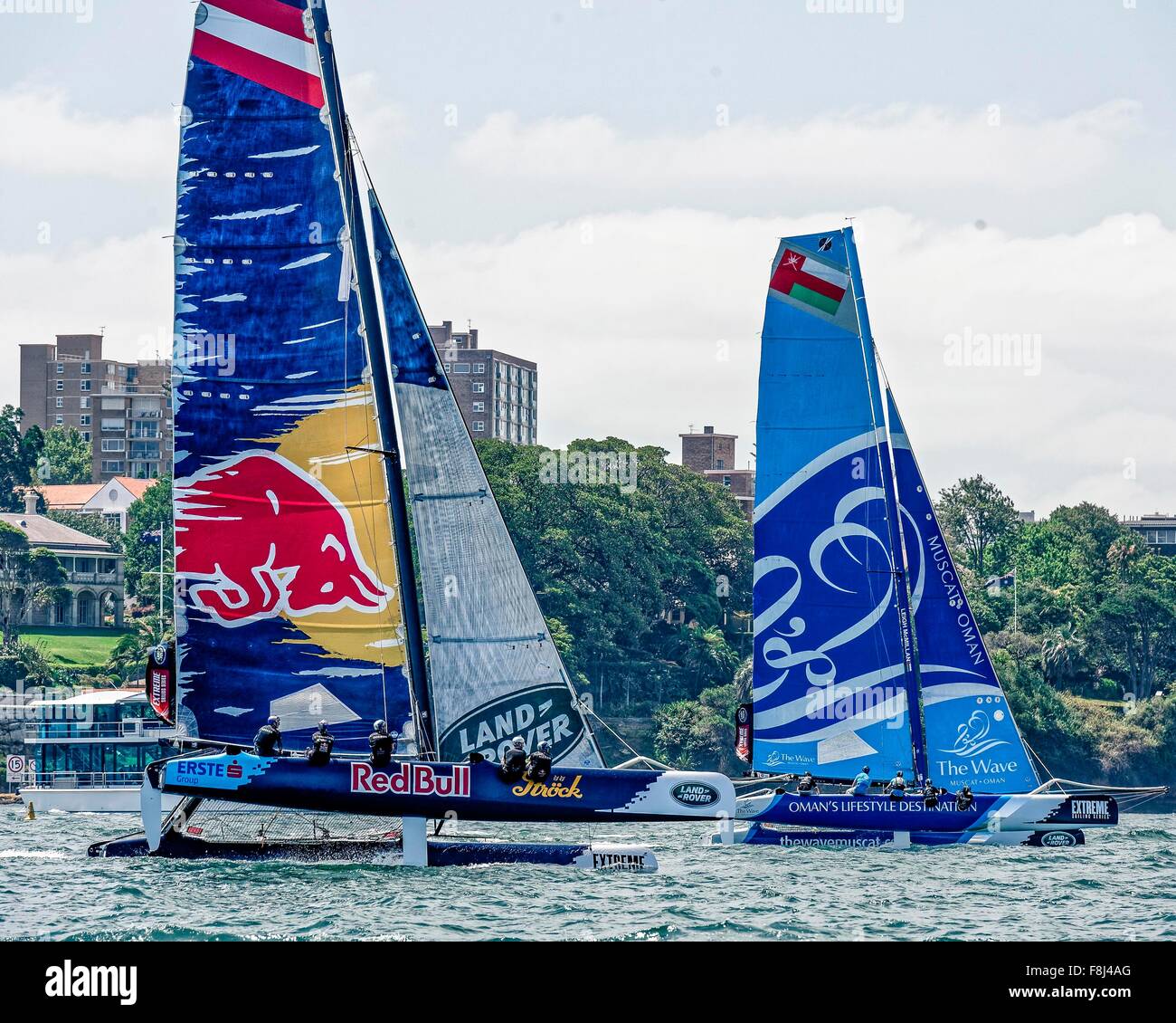 Farm Cove, Sydney, Australien. 10. Dezember 2015. Extreme Sailing Act 8. Medientag. Red Bull Sailing Team (AUT) Praxis Rennen In Farm Cove, Sydney, Australien. Red Bull Sailing Team (AUT) wird in der Schlussakte der 2015 Extreme Sailing Series vom 11. bis 13. Dezember 2015 in Sydney Segeln. Bildnachweis: Aktion Plus Sport/Alamy Live-Nachrichten Stockfoto