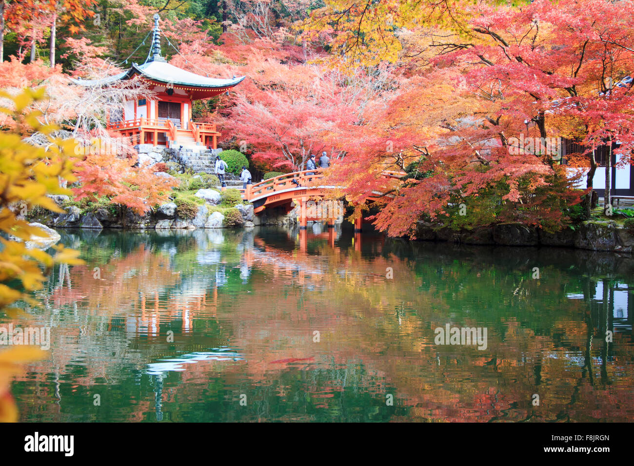 Kyoto, Japan - 24. November 2013: Herbstsaison, die lassen Farbwechsel von rot im Tempel japan Stockfoto