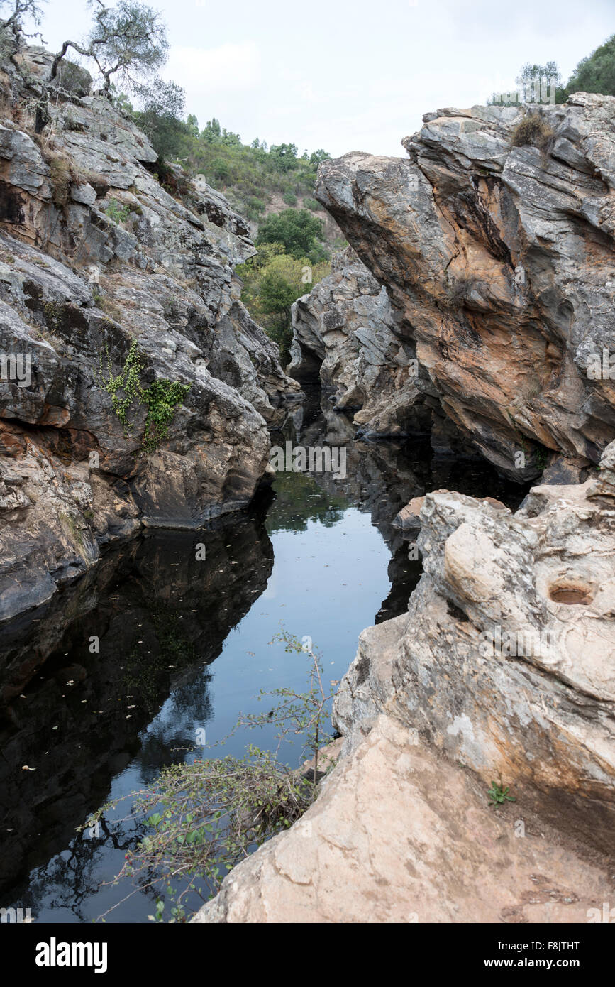 kleiner Fluss mit Teich in Natur Portugal in der Nähe von Odemira genannt Pego des Pias vertikale Stockfoto