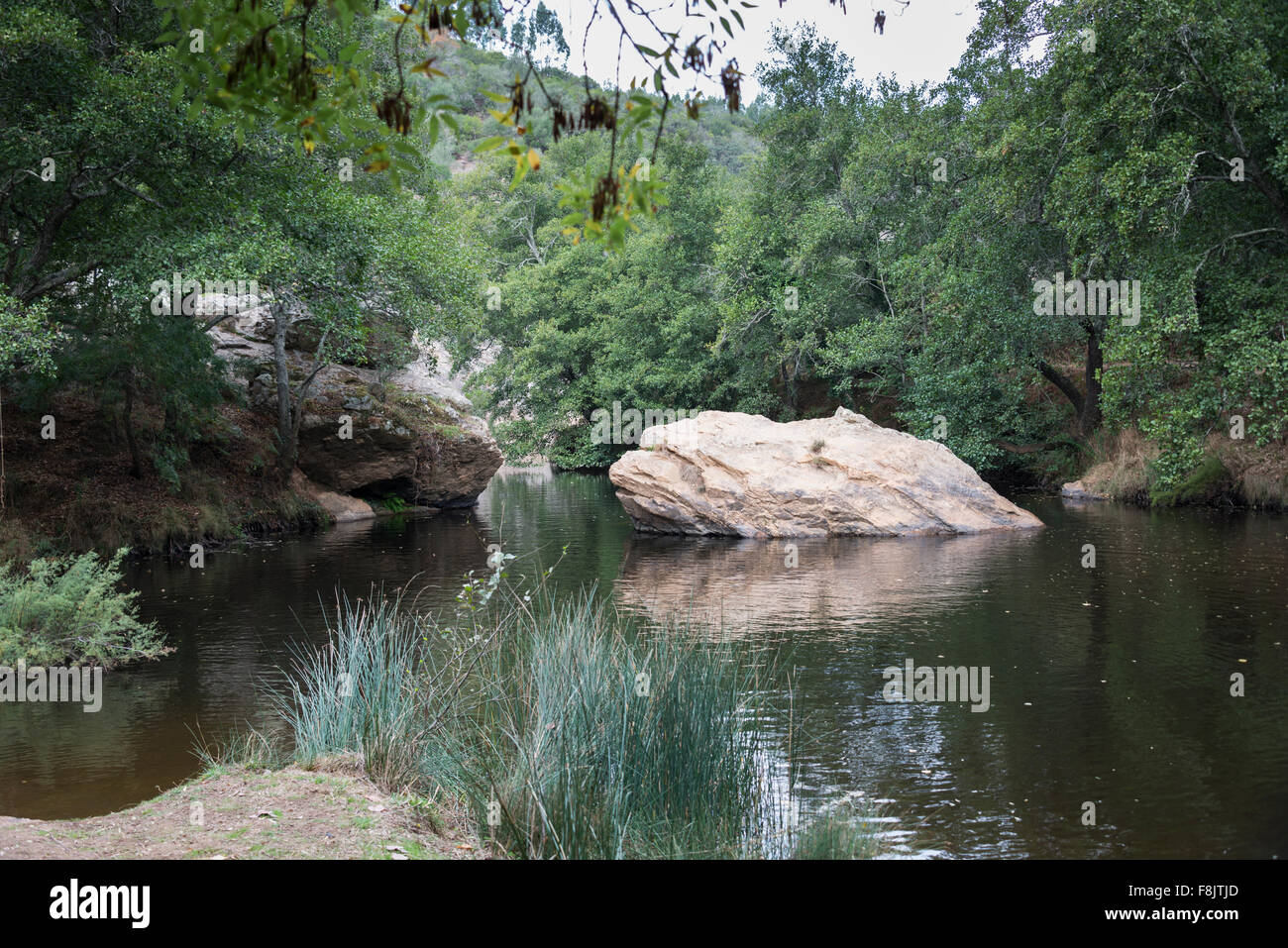 kleiner Fluss mit Teich in Natur Portugal in der Nähe von Odemira genannt Pego des pias Stockfoto
