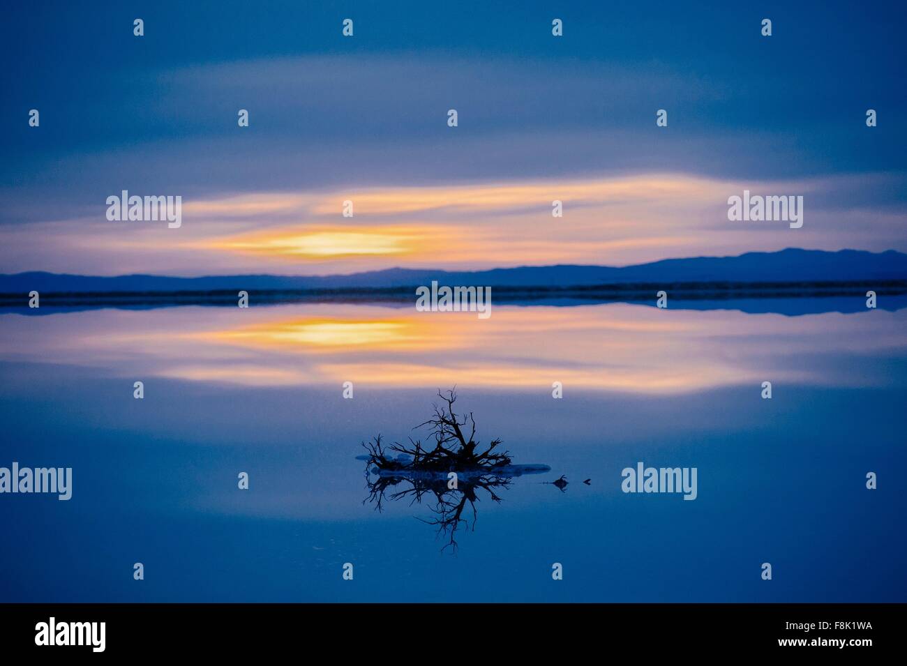 Reflexion-Pool von Horizont über Wasser, blauen Abendhimmel und Sonnenuntergang, Bonneville, Utah, USA Stockfoto