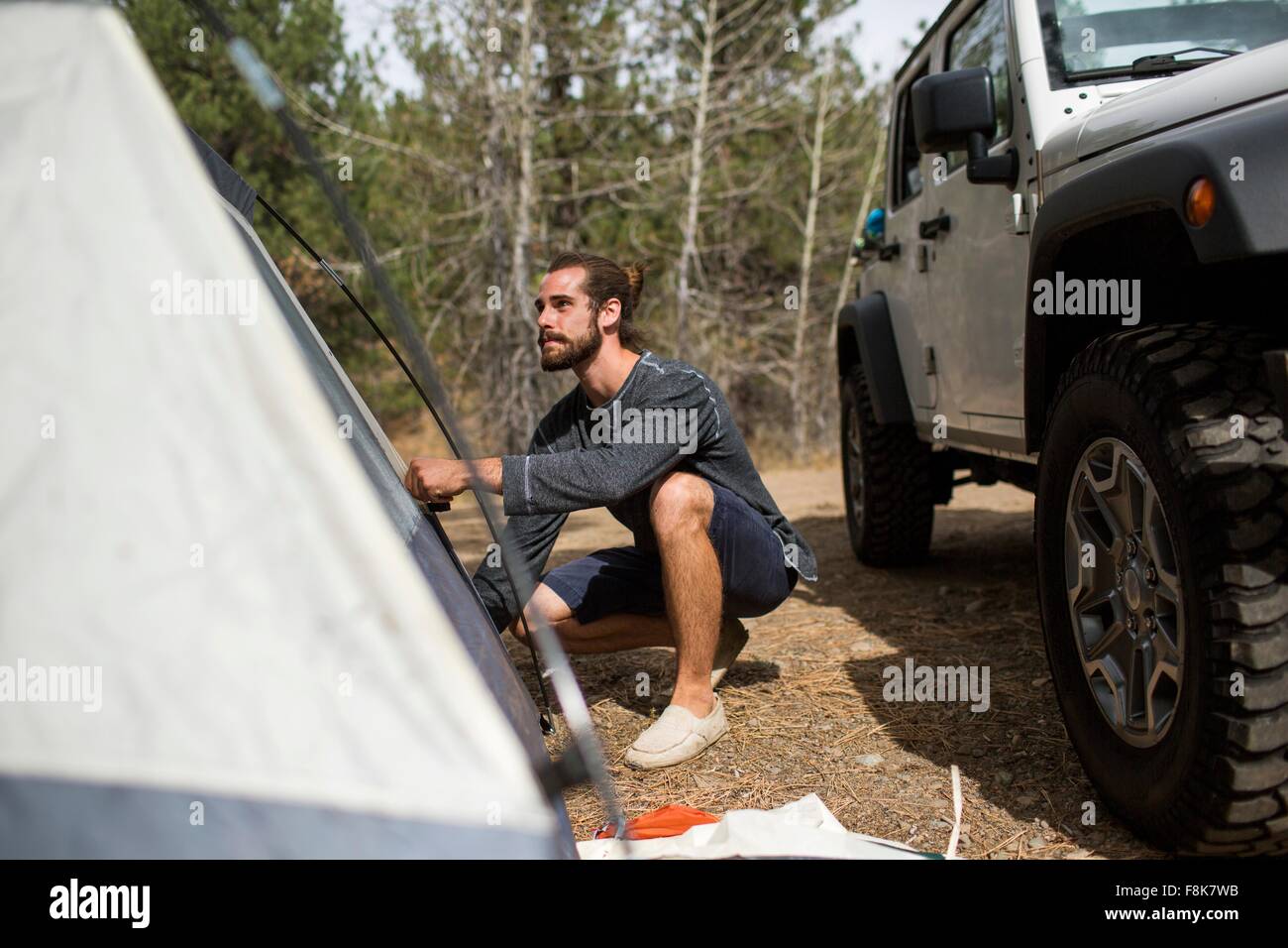 Junger Mann errichten Zelt im Wald, Lake Tahoe, Nevada, USA Stockfoto