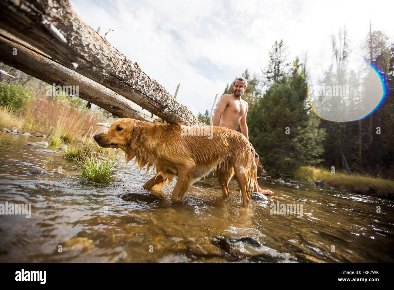 Junger Mann und Hund Paddeln im Fluss, Lake Tahoe, Nevada, USA Stockfoto