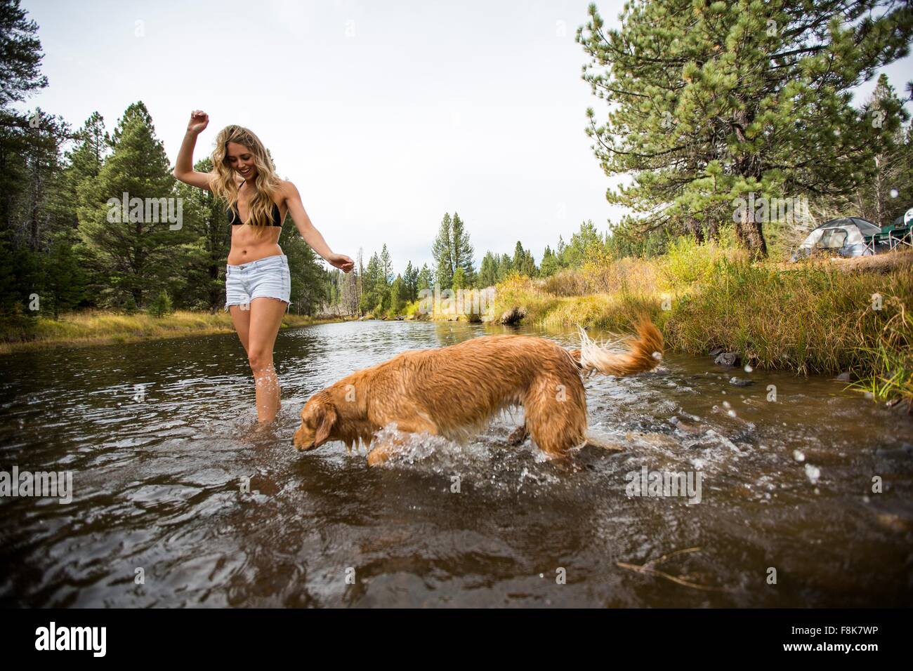 Junge Frau und Hund Paddeln im Fluss, Lake Tahoe, Nevada, USA Stockfoto