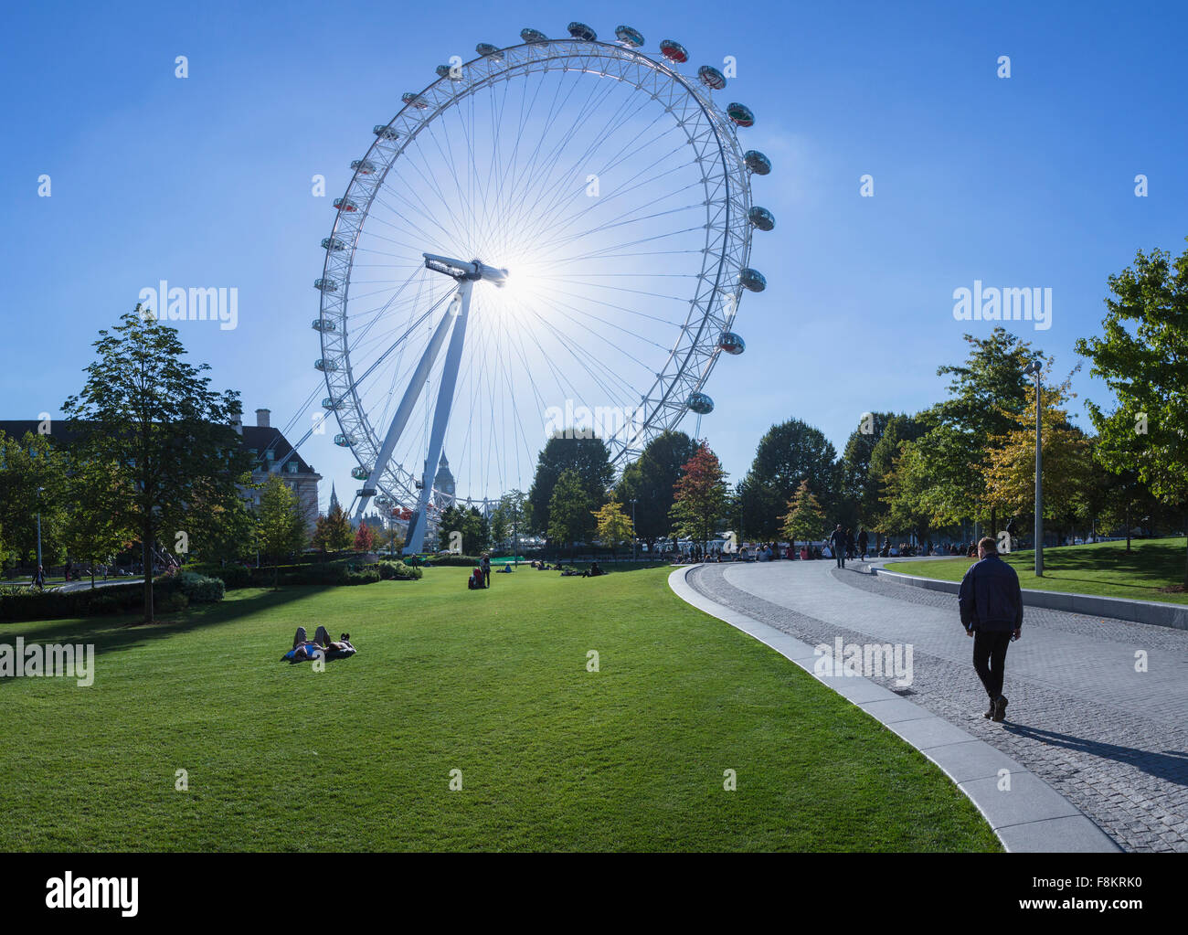 Blick auf das London Eye von Jubilee Gardens Park, London, England, UK Stockfoto