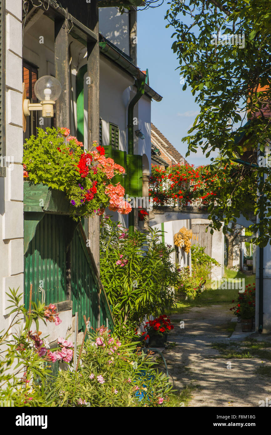 Mörbisch am Neusiedler See, Seewinkel, Burgenland, Österreich Stockfoto