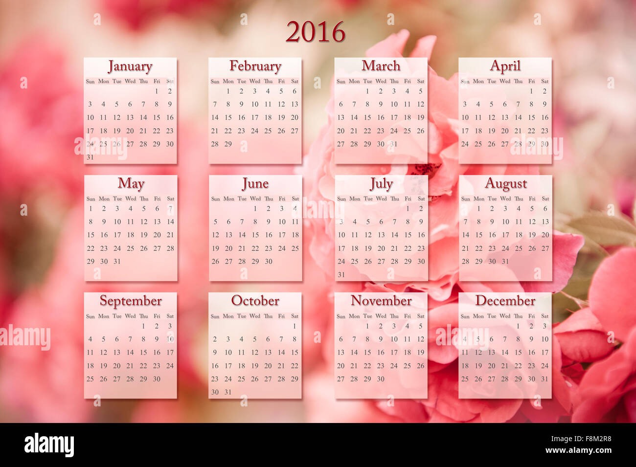 Sepia Rosen 2016 Kalender Blüte Makro, sommergrüne Staude in der Familie der Rosengewächse, duftende Blüten, Pflanzen wachsen in Polen Stockfoto
