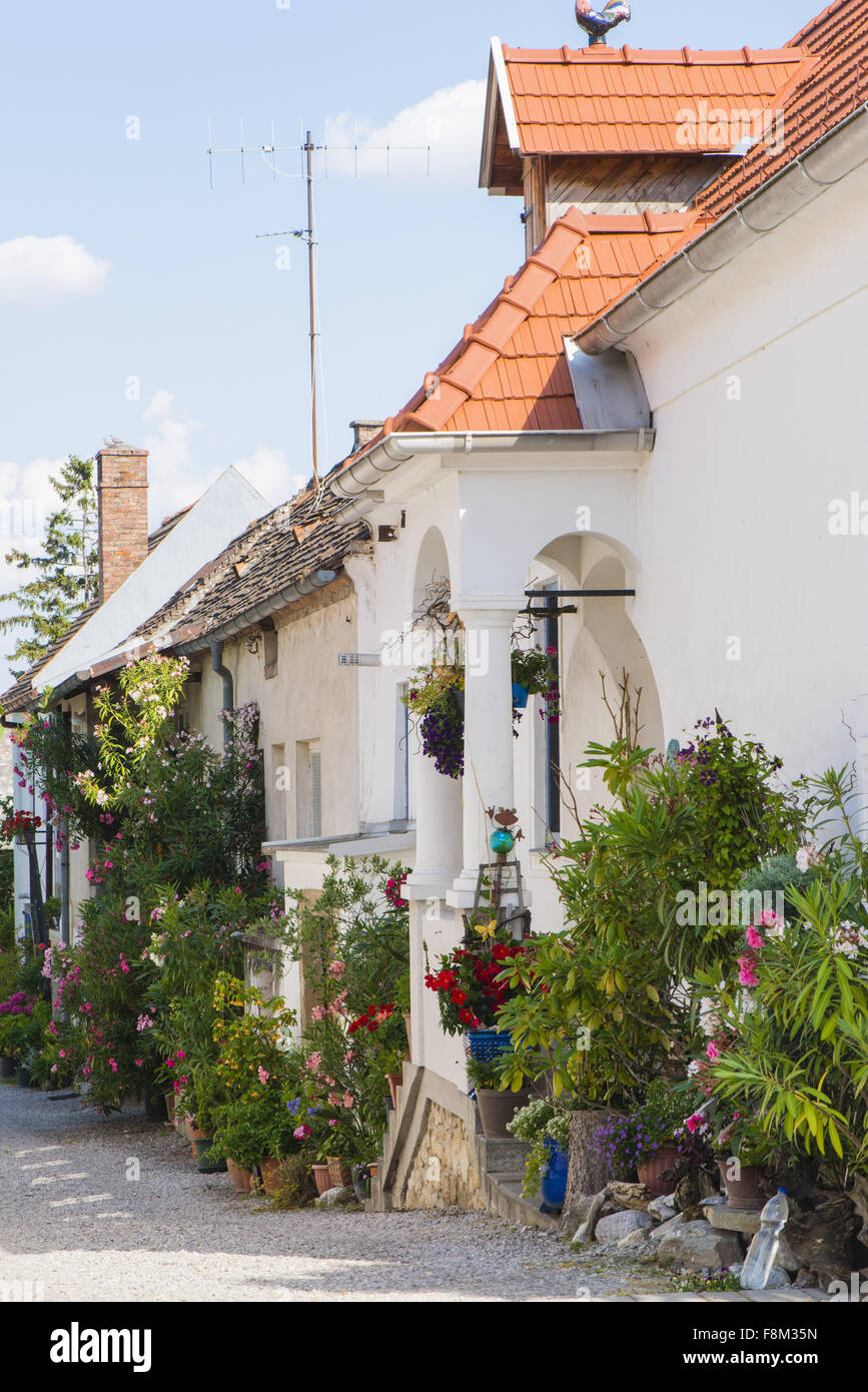 Mörbisch am Neusiedler See, Seewinkel, Burgenland, Österreich Stockfoto